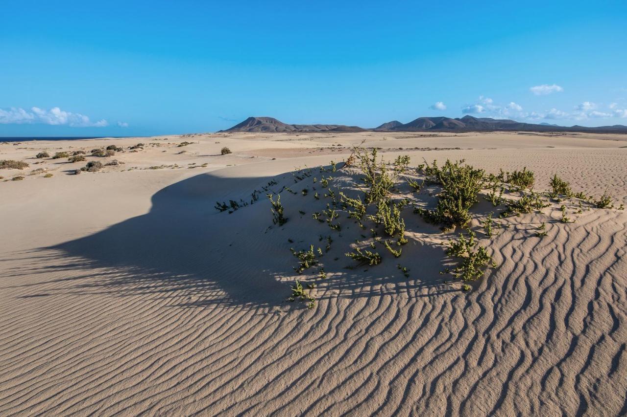 Gmar House Relax Y Naturaleza Парке-Оландес Экстерьер фото